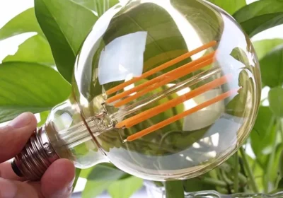 LED-Long-Filament-Vintage-Edison-Bulb