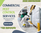 Pest Control Services homes offices and more