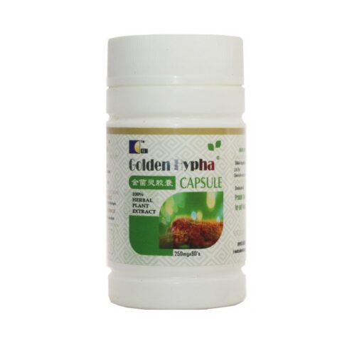 Golden Hypha Capsules Supplement