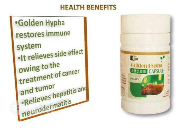 Golden Hypha Capsules Supplement