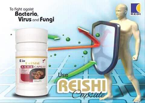 Kedi Reishi Capsules Supplement