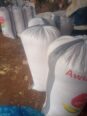 Bags of Maize Forsale