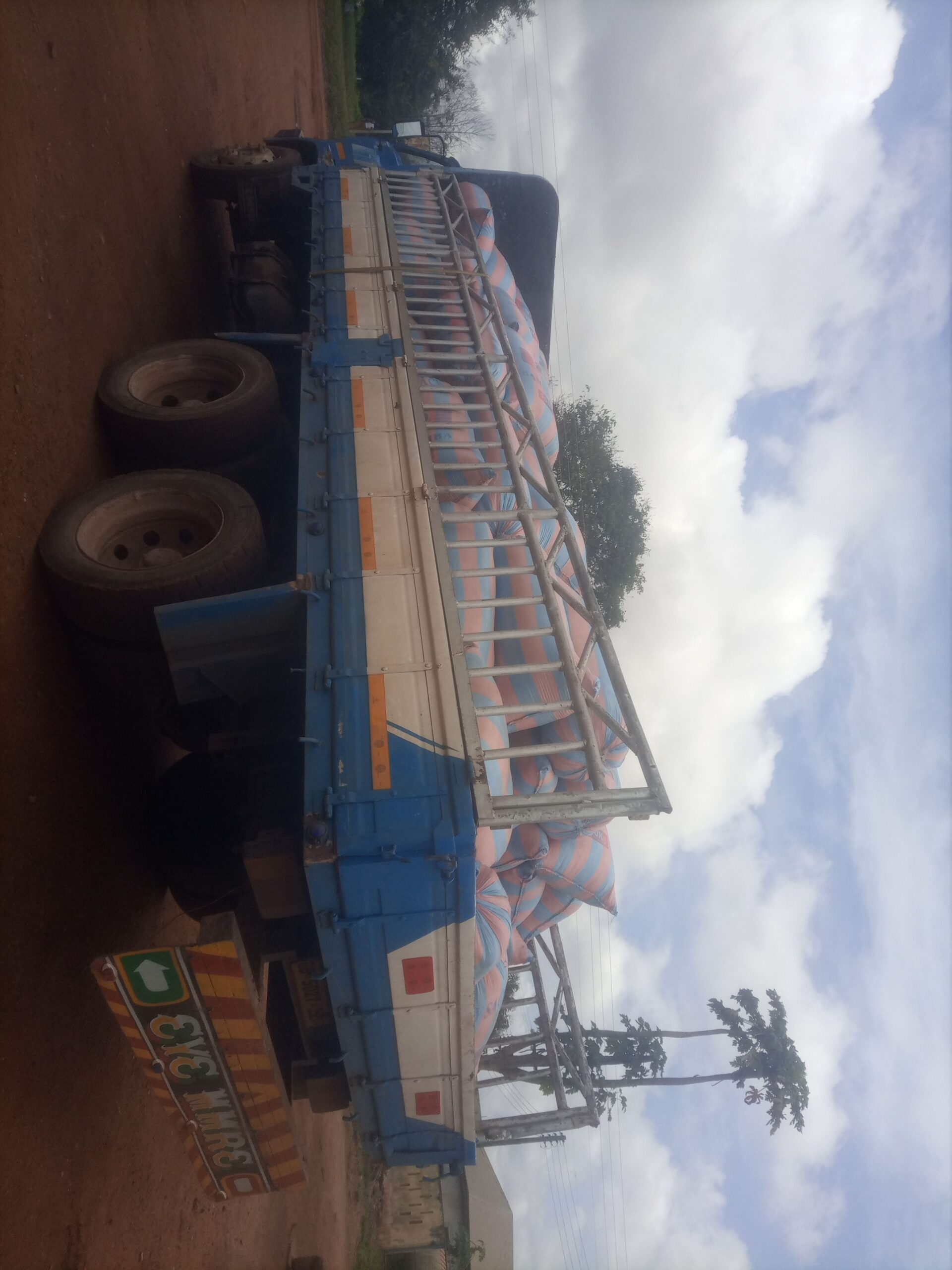 Bags of Maize Forsale