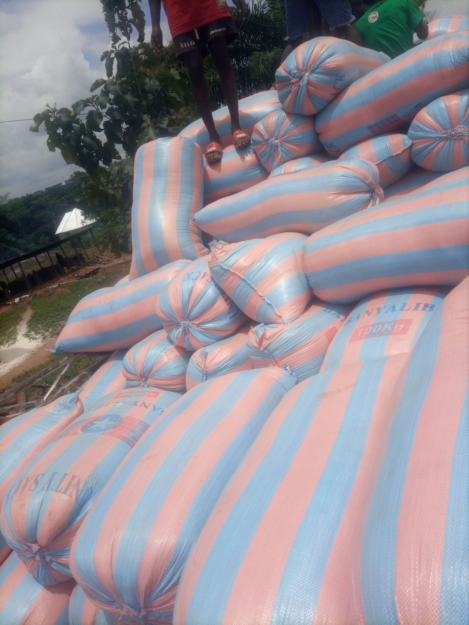 Bags of Maize Forsale
