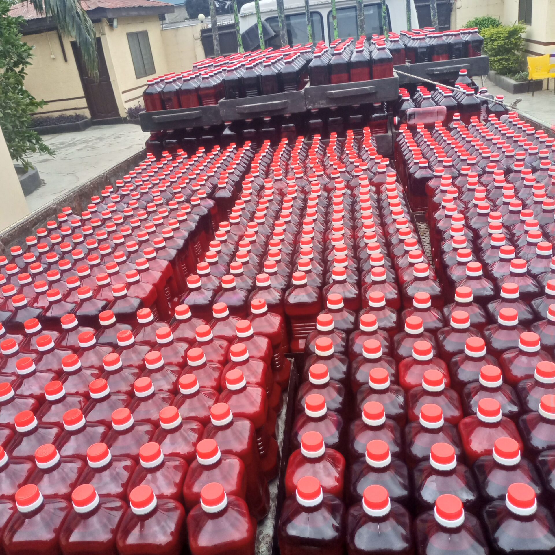 100% Organic palm oil (ZOMI)
