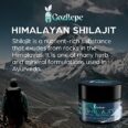 Gozilepe Shilajit Original Himalayan