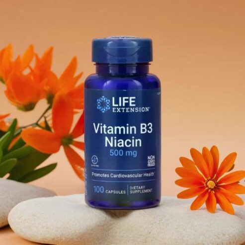 Life Extension Vitamin B3 Niacin Food Supplement