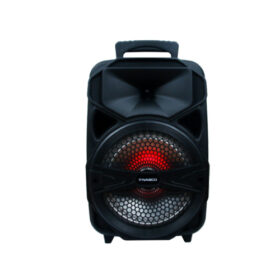Nasco-20watt-Audio-Karaoke-Nasd-200
