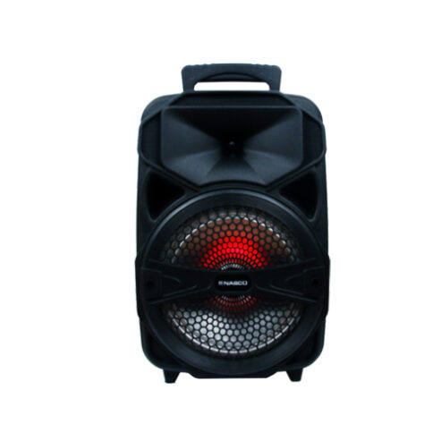 Nasco 20watt Audio Karaoke Nasd 200 in Ghana