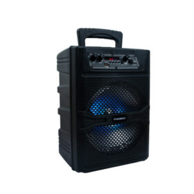 Nasco-30watt-Audio-Karaoke-Nasd-300